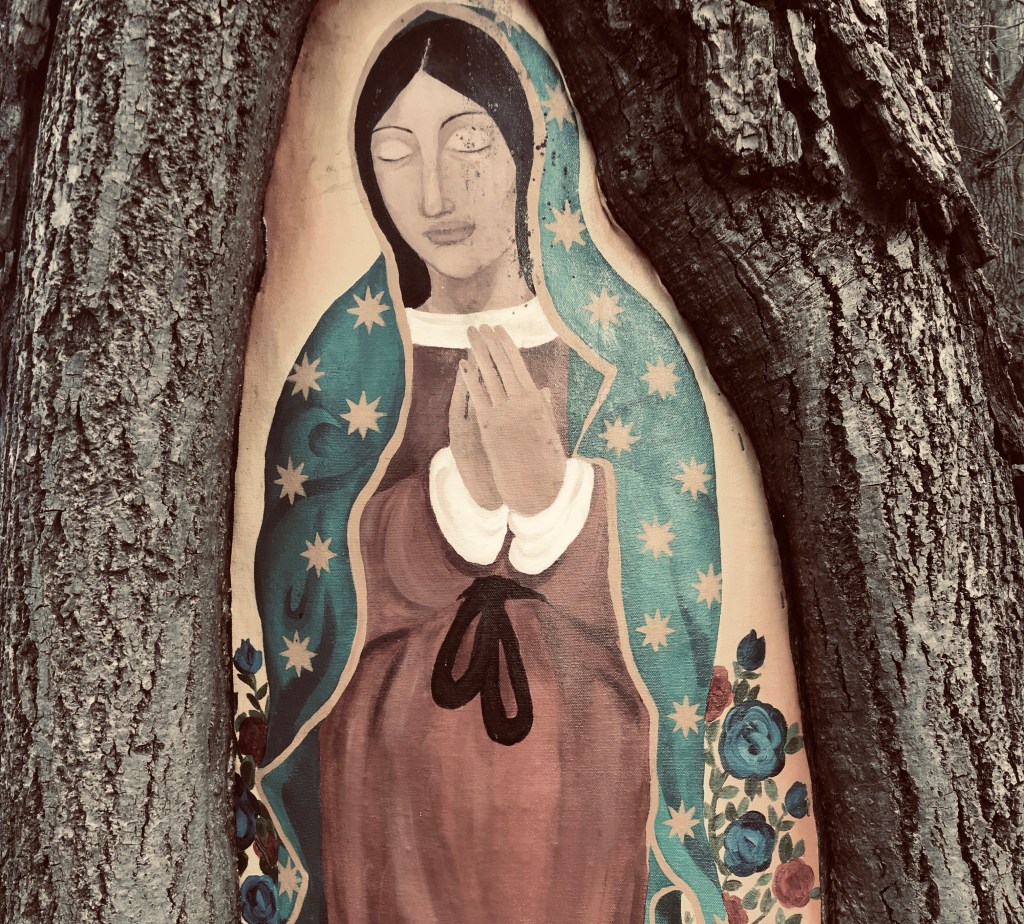 night will be no&nbsp;more