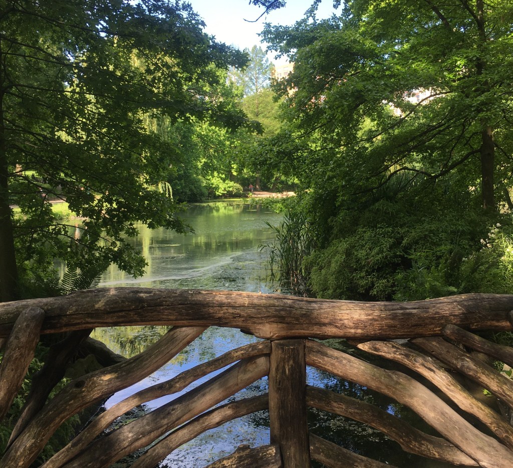 bridge over calm water